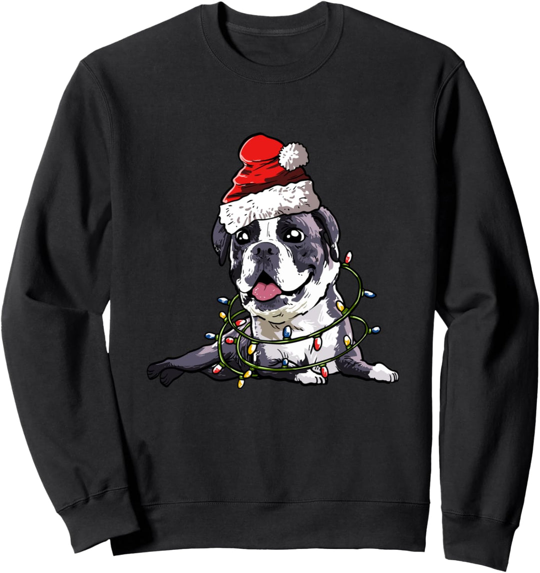 Boxer Weihnachten Geschenk X-Mas Hunde Kostüm Sweatshirt