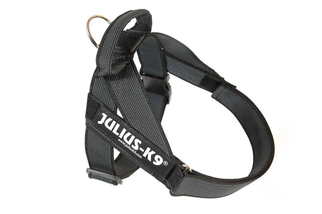 Julius-K9, Color & Gray, Beltgeschirr M / 0 schwarz-grau, M / 0 schwarz-grau