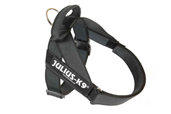 Julius-K9, Color & Gray, Beltgeschirr M / 0 schwarz-grau, M / 0 schwarz-grau