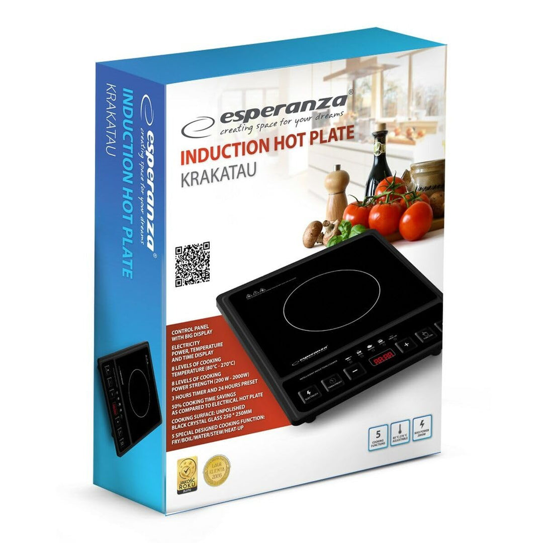 Esperanza EKH011 Black Induction Cooker