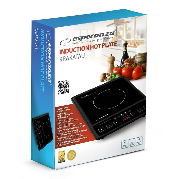 Esperanza EKH011 Black Induction Cooker