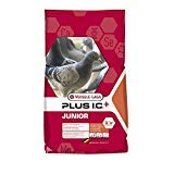 Versele-Laga Junior Plus Ic - Tauben 20 KG
