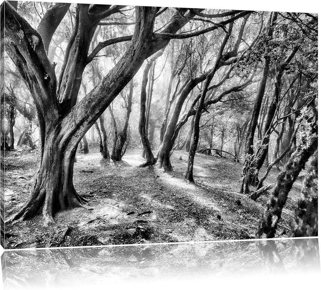 Monocrome, Wald, Format: 100x70 auf Leinwand, XXL riesige Bilder fertig gerahmt mit Keilrahmen, Kuns