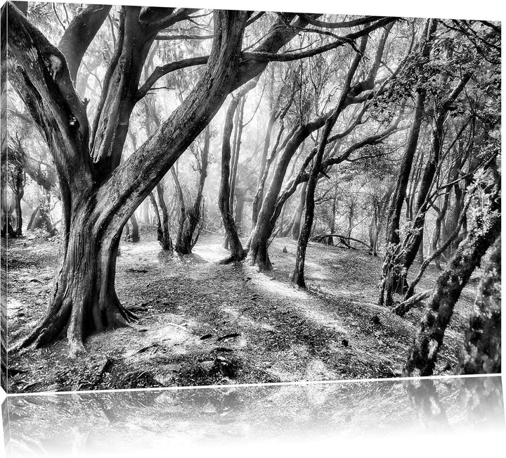 Monocrome, Wald, Format: 100x70 auf Leinwand, XXL riesige Bilder fertig gerahmt mit Keilrahmen, Kuns