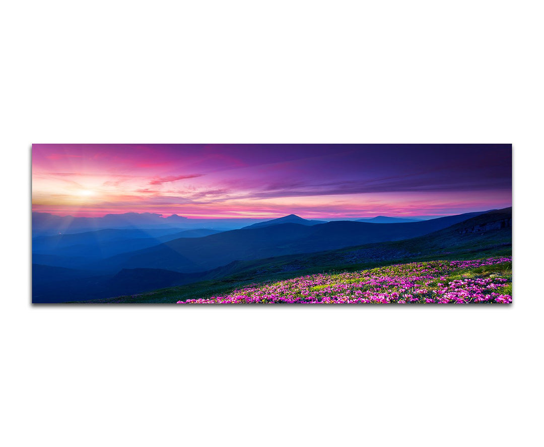 Paul Sinus Art Panoramabild auf Leinwand und Keilrahmen 150x50cm Ukraine Blumen Wiese Berge Sonnenun