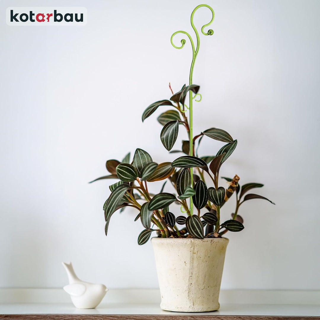 KOTARBAU® 2er Set Pflanzenstütze Grün PVC 58 cm Blumenstütze Rankhilfe Zimmerpflanzen Blumenstütze G