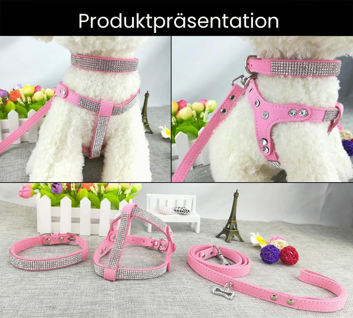 Hundehalsband &amp; Geschirr &amp; Leinen Sets Mode Komfortable Hundehalsband Diamante mit Geschirr &amp; Leinen