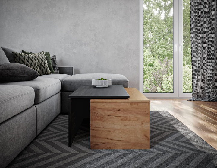 PLATAN ROOM Couchtisch Kaffeetisch 2er Set 90x48x40 cm, moderner Wohnzimmertisch, Sofatisch mit Stau