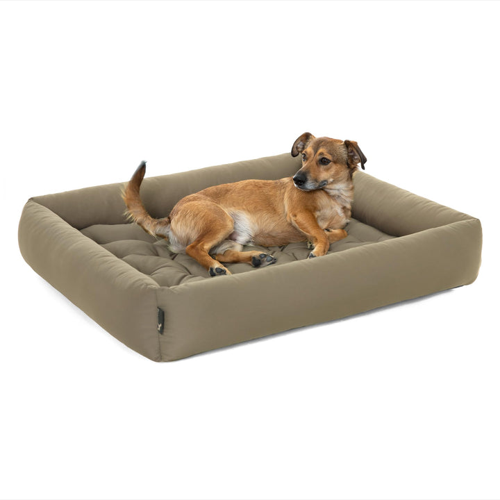 Doctor Bark Pointer | Hundebett mit Hundekissen - orthopädisch, waschbar, bequem (M - 70x60 cm, Beig