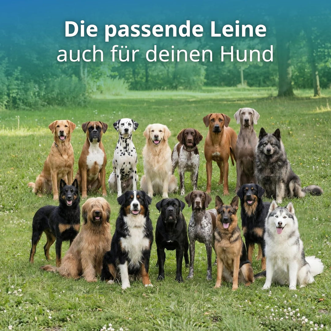 Geflochtene Hundeleine für mittelgrosse und grosse Hunde bis 60 kg | Kurze Führleine | 1,20 m lang |