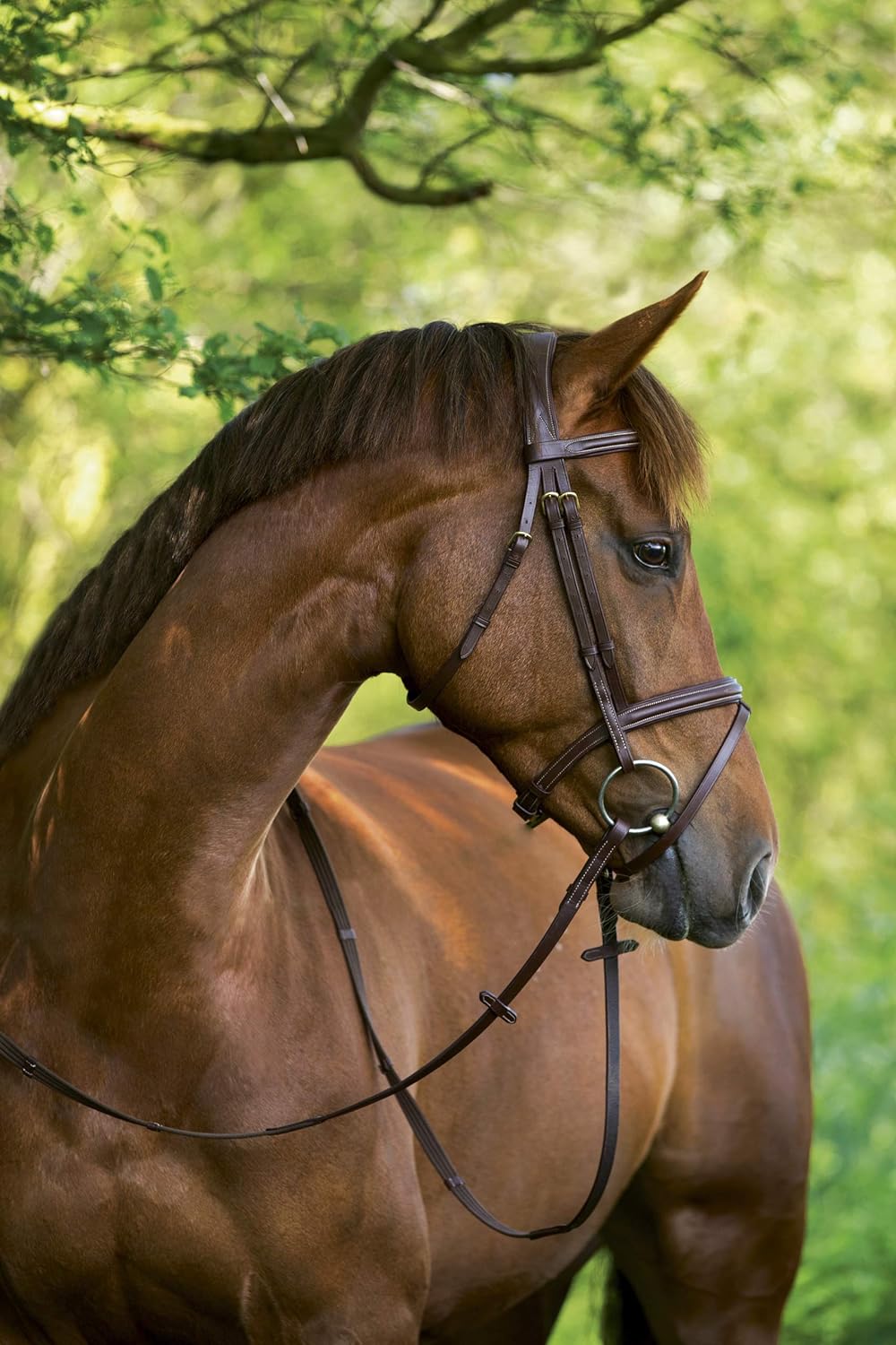 KERBL Trensenzaum Classic Braun Pony, Braun Pony