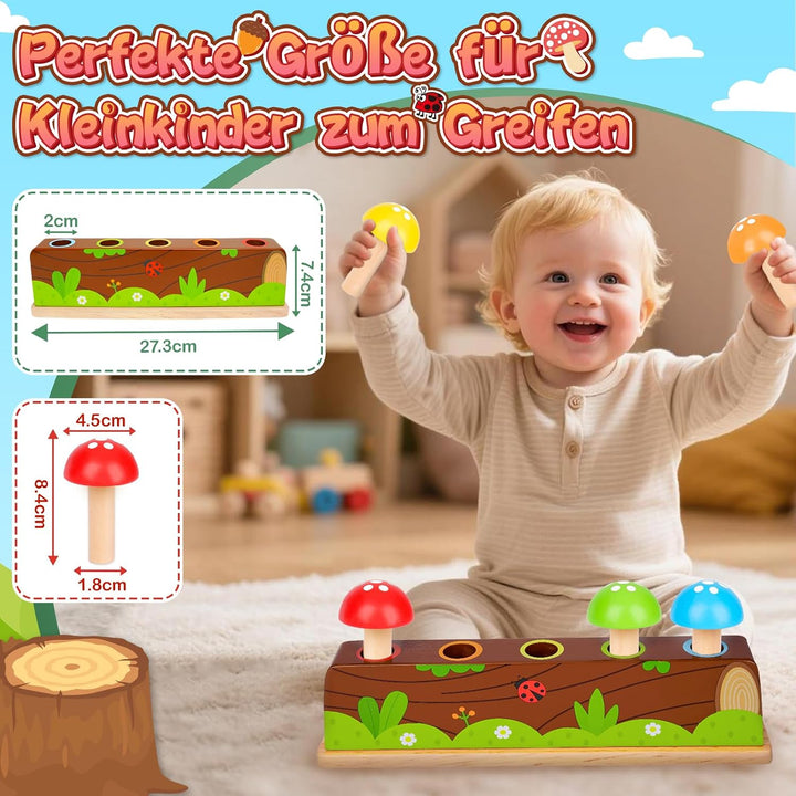 Montessori Spielzeug ab 1-2 Jahr, Pop Up Holz Motorikspielzeug ab 12-18+ Monate Kinder, Geschenk Mäd