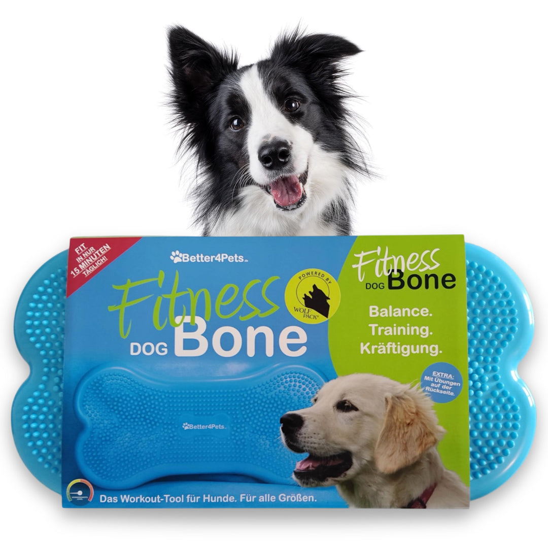 Wolfpack® Fitness Dog Bone – Balance Pad &amp; Physio Wackelkissen für kleine &amp; grosse Hunde – krallenfe