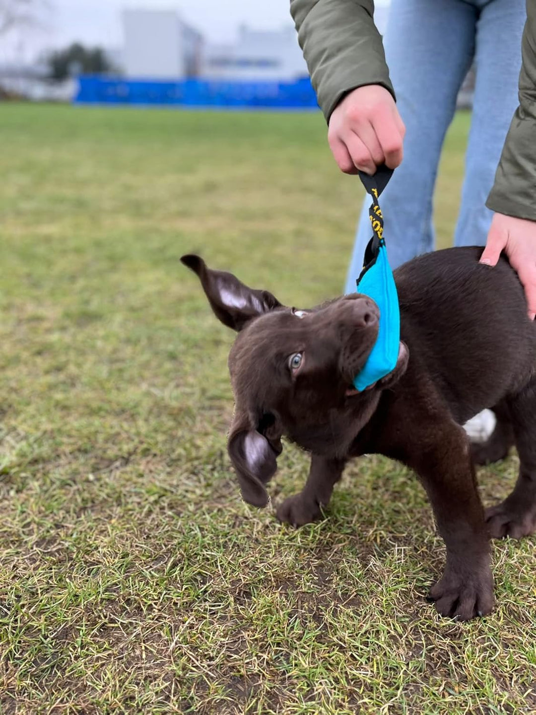 Dingo Hundespielzeug Beisswurst Agility Baumwolle mit Griff handgefertigt für Bisstraining Apportier