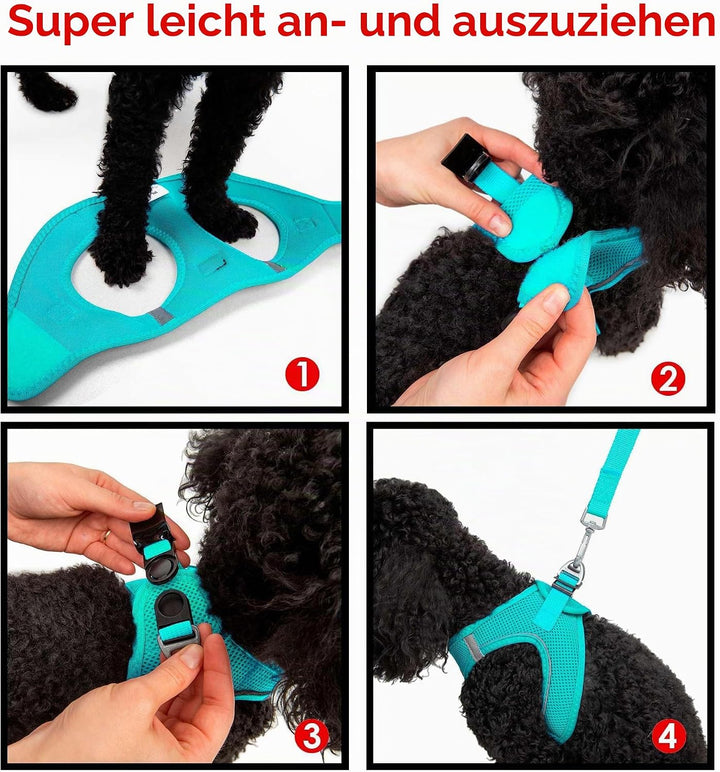 Air-Mesh Brustgeschirr für kleine und mittelgrosse Katzen und Hunde – Weich, Atmungsaktiv, Strapazie