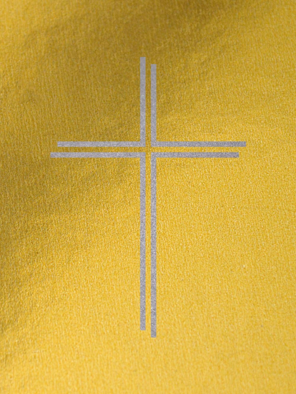 Das goldene Buch vom Nikolaus: mit Steckbriefen der Kinder (unbefüllt) sowie Wunschzetteln und Brief