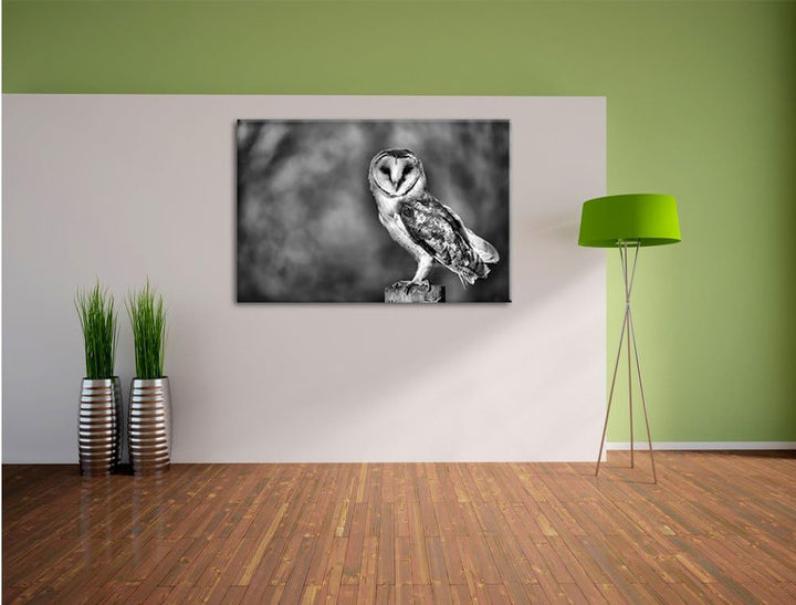 Monocrome, Eule, Format: 100x70 auf Leinwand, XXL riesige Bilder fertig gerahmt mit Keilrahmen, Kuns