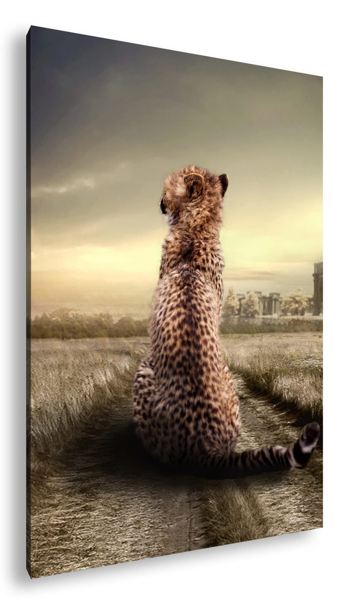 deyoli einsamer Gepard in schöner Landschaft im Format: 100x70 als Leinwandbild, Motiv fertig gerahm