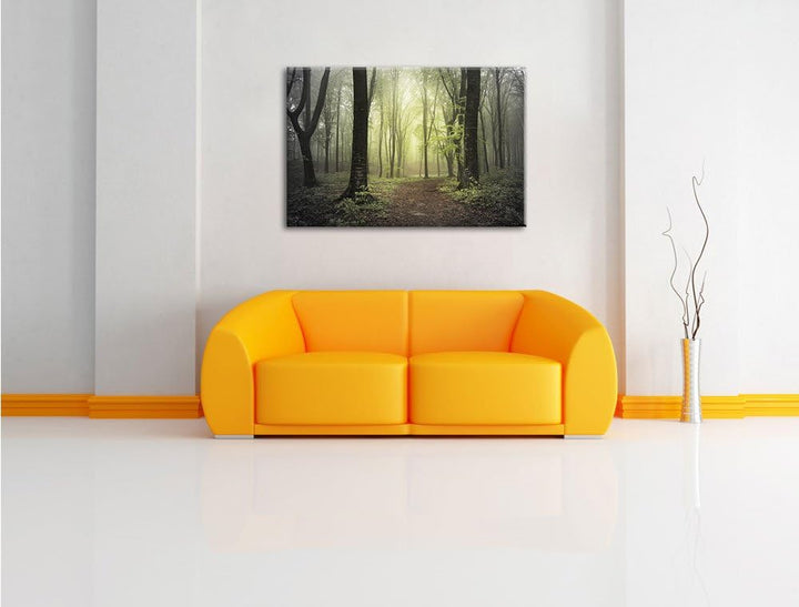 Pixxprint Weg im Wald als Leinwandbild/Grösse: 100x70 / Wandbild/Kunstdruck/fertig bespannt, 100x70