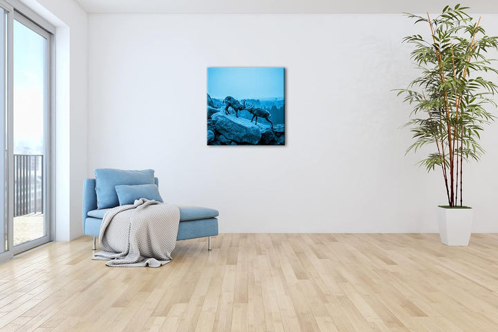 deyoli Zwei kämpfende Steinböcke Format: 70x70 Effekt: Monocrome Blau als Leinwand, Motiv fertig ger