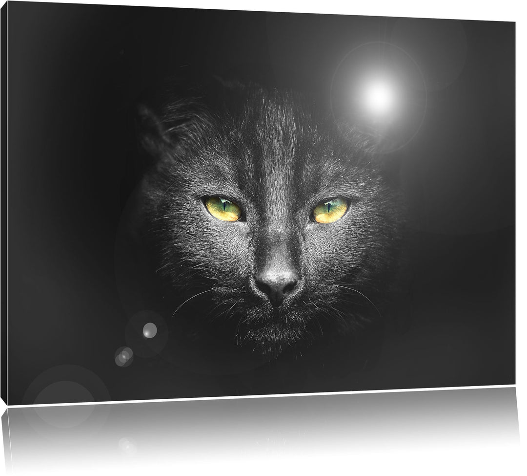 Katzenkopf mit düsterem Hintergrund schwarz/weiss Format: 100x70 auf Leinwand, XXL riesige Bilder fe