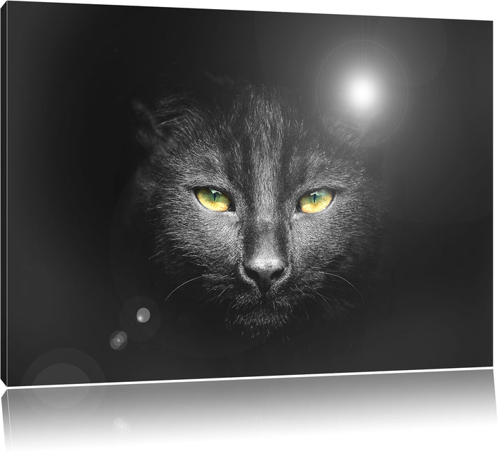 Katzenkopf mit düsterem Hintergrund schwarz/weiss Format: 100x70 auf Leinwand, XXL riesige Bilder fe
