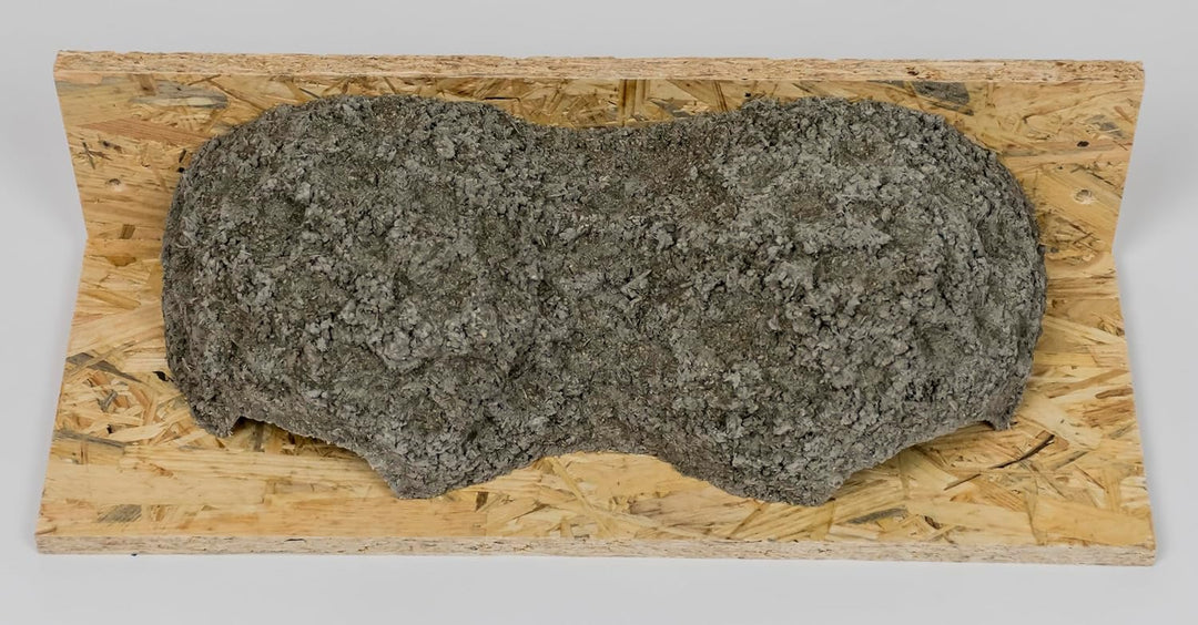 Mehlschwalben Doppelnest, Mehlschwalbennester, Schwalbennester, Nistkasten
