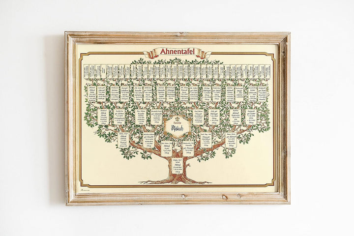 RNK 2808 - Schmuck - Ahnentafel 1-63, 50 x 70 cm, aus Elefantenhautpapier, 1 Stück, Ahnentafel