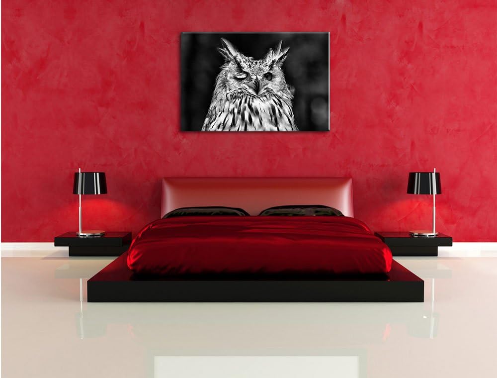 Pixxprint Waldohreule zwinkert / 100x70cm Leinwandbild bespannt auf Holzrahmen/Wandbild Kunstdruck D