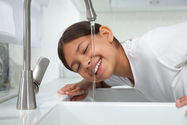 TW-DES Original Befüllfilter "COMFORT" mit Wasseruhr inkl. Wasserhygiene für Wohnmobil, Caravan, Boo