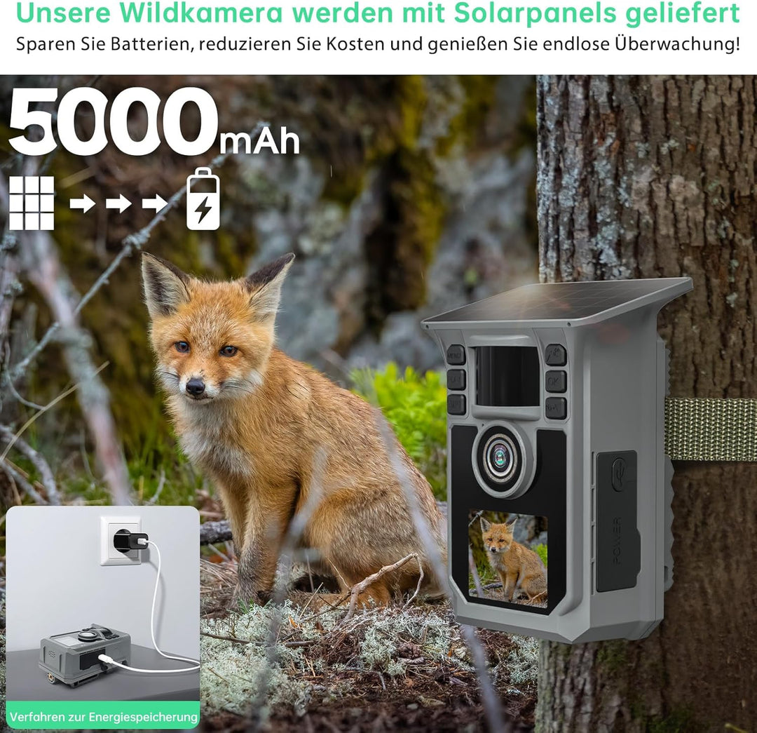 4K 64MP Wildkamera mit Handyübertragung APP, Solar WLAN Bluetooth Eingebaute 5000mAh, 64GB Speicherk