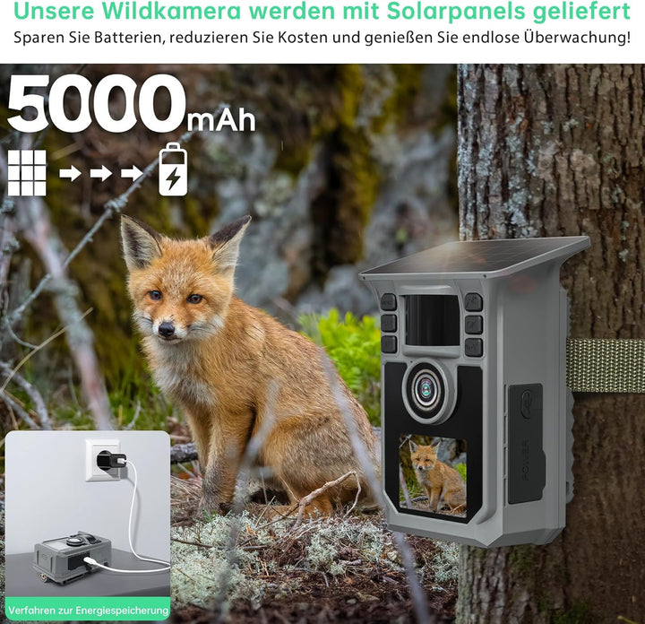 4K 64MP Wildkamera mit Handyübertragung APP, Solar WLAN Bluetooth Eingebaute 5000mAh, 64GB Speicherk