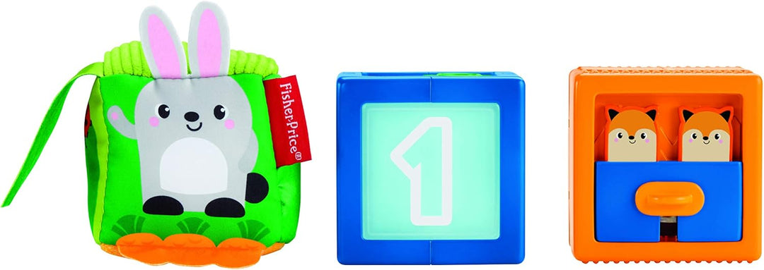 Fisher-Price GJW13 - Babys Bunte Tierbausteine, 3 Stück, Bunte Aktivitätsspielzeuge Babyspielzeug ab