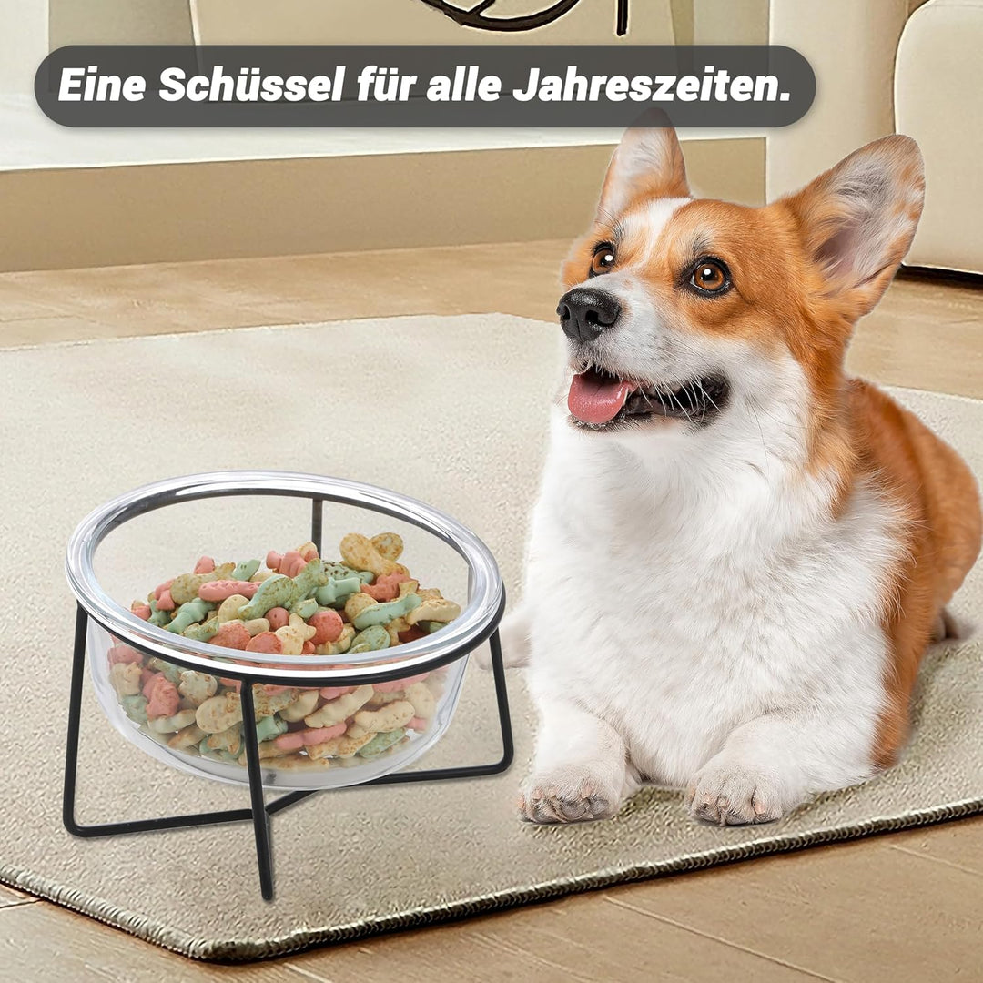 Hundenapf Katzennapf - Futternapf Hund Katze - Futterstation Hund Katzen Erhöht mit Ständer - Fressn