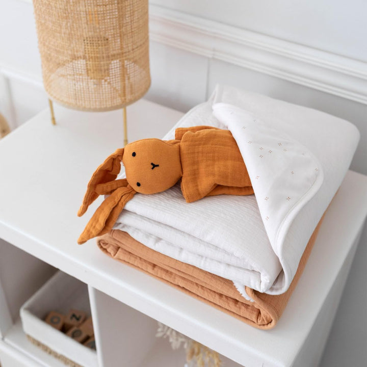BEMINI Kuscheldecke Pady Tetra Jersey + Softy tog 3 Pudding, Pudding