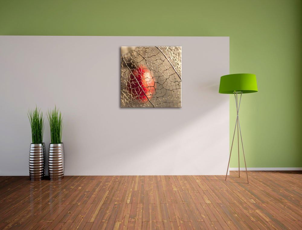 Pixxprint Rote Physalis, Format: 70x70 auf Leinwand, XXL riesige Bilder fertig gerahmt mit Keilrahme