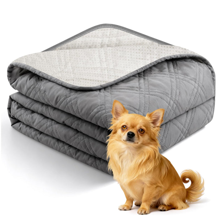 wasserdichte Hundedecke, wasserdichte Decke 178 x 76 cm, Sofaschutz Hund mit rutschfeste Rückseite,