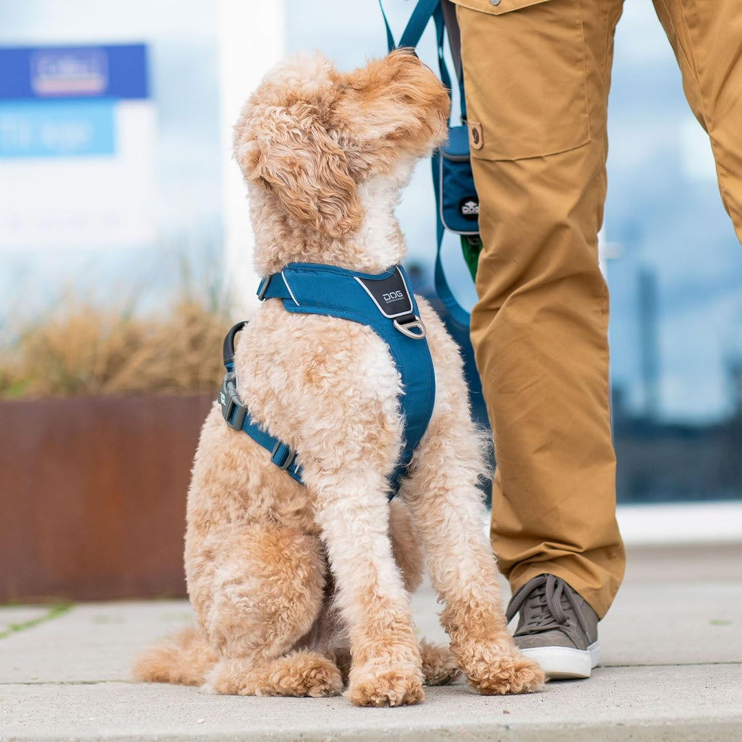 DOG Copenhagen Comfort Walk Pro Hundegeschirr, Lemon, M M Lemon, M Lemon