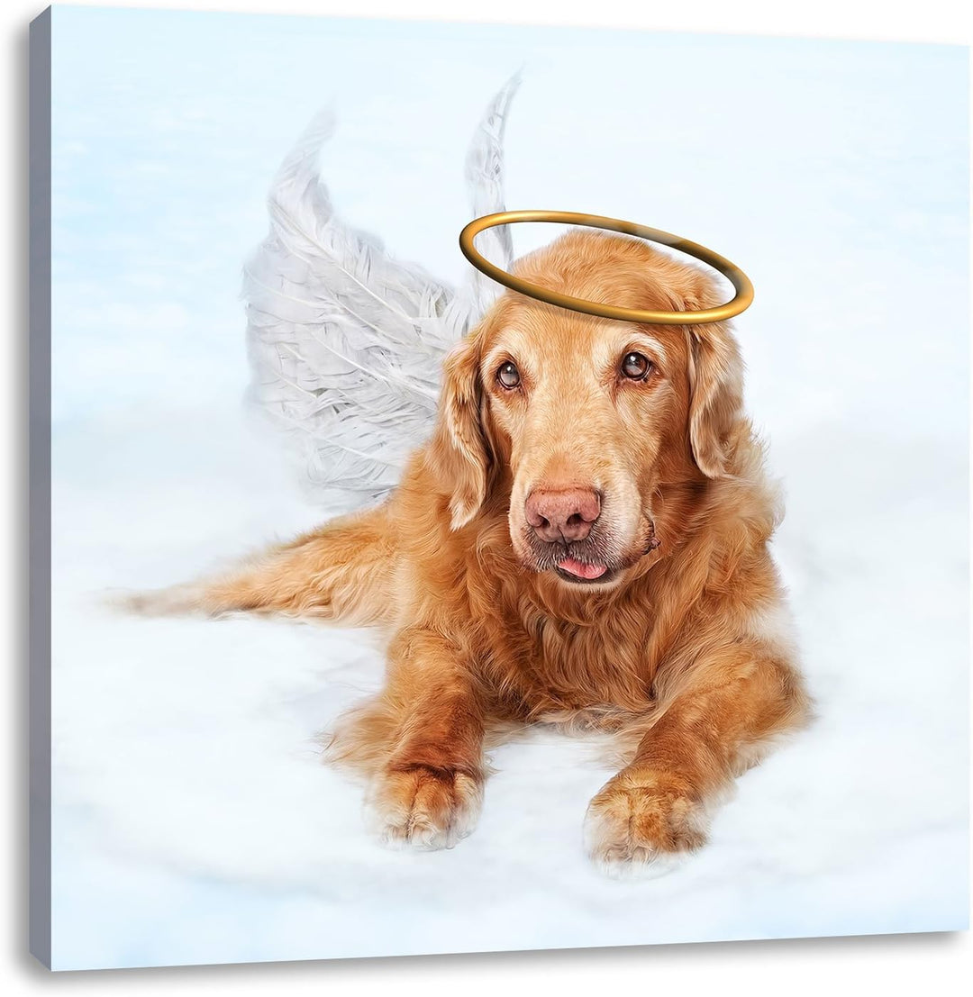 Pixxprint Hundeengel auf Wolke# als Leinwandbild/Grösse: 70x70 cm/Wandbild/Kunstdruck/fertig bespann