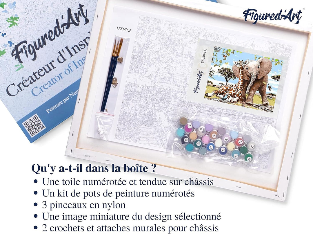 Figured'Art Malen Nach Zahlen Erwachsene Mit Rahmen Elefant und Giraffe - Paint by Numbers Basteln D