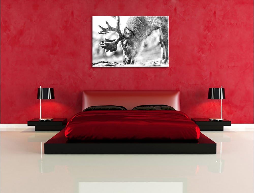 Pixxprint süsses Rentier beim Essen Kunst B&W als Leinwandbild/Grösse: 100x70 cm/Wandbild/Kunstdruck