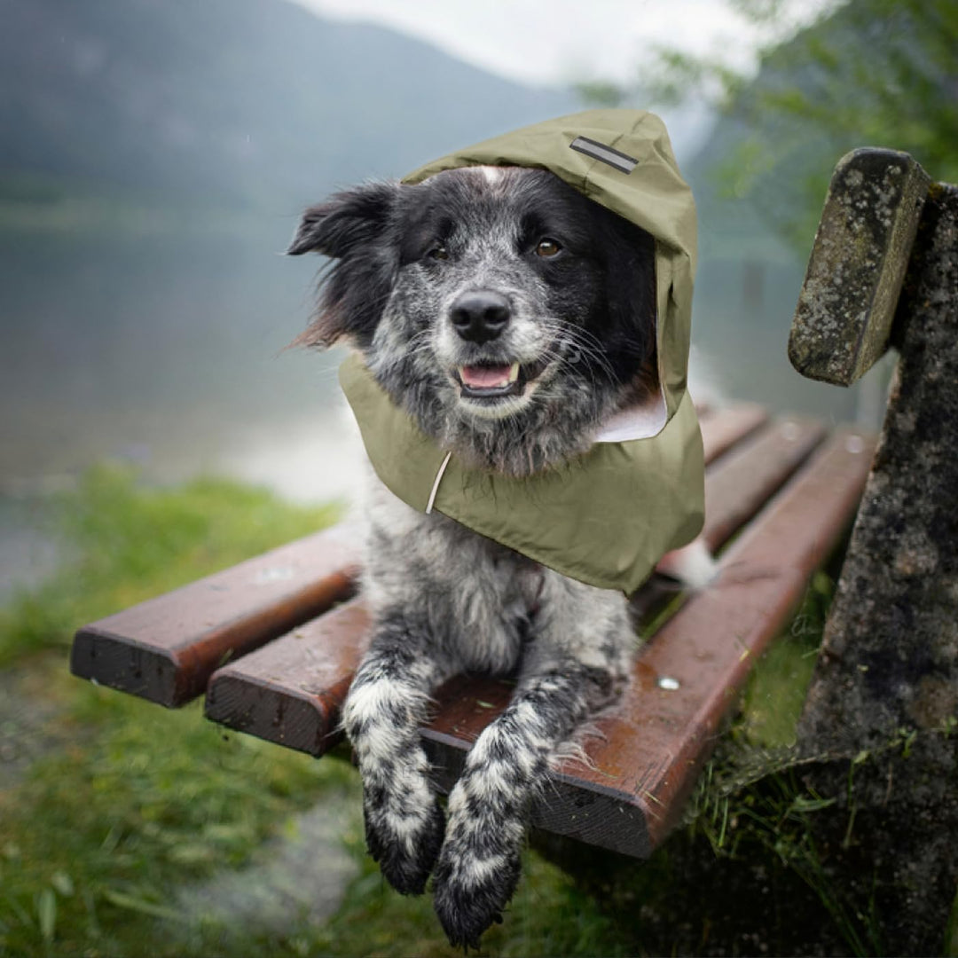Idepet Regenmantel für Hunde mit Kragenloch Wasserdicht Reflektierend Winddicht Poncho Regenjacke mi