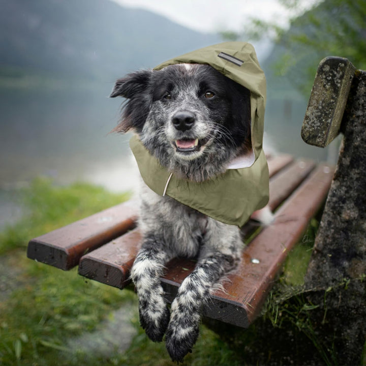 Idepet Regenmantel für Hunde mit Kragenloch Wasserdicht Reflektierend Winddicht Poncho Regenjacke mi