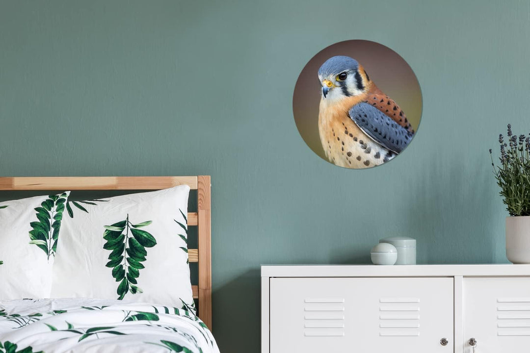 Wandbild Rund Wanddeko Deko Wohnzimmer Bilder 30x30 cm Vogel - Makro - Blau, 30x30 cm