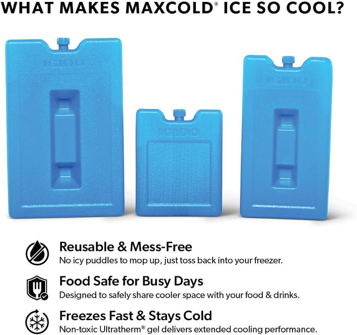 IGLOO Ice Block Eisblock L x B x H in cm: 30,48 x 4,445 x 26,67 Blau, L x B x H in cm: 30,48 x 4,445