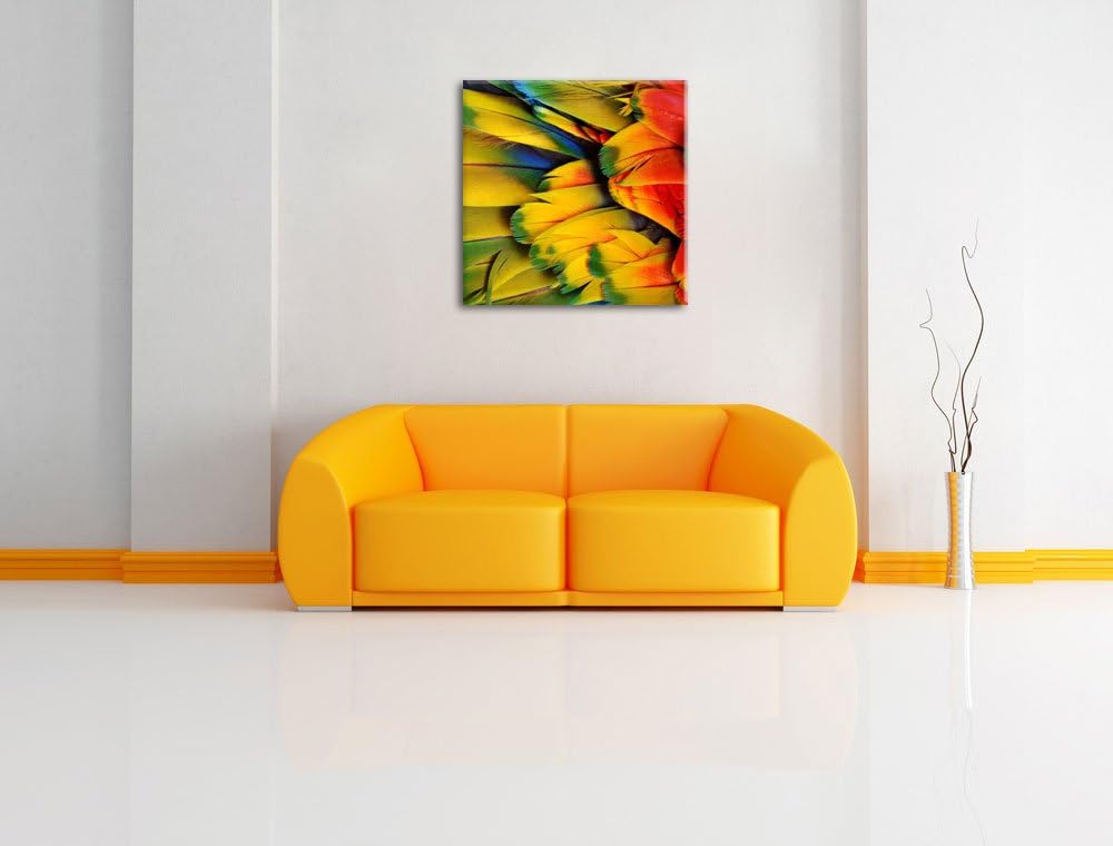 Bunte Papageienfedern, Format: 70x70 auf Leinwand, XXL riesige Bilder fertig gerahmt mit Keilrahmen,