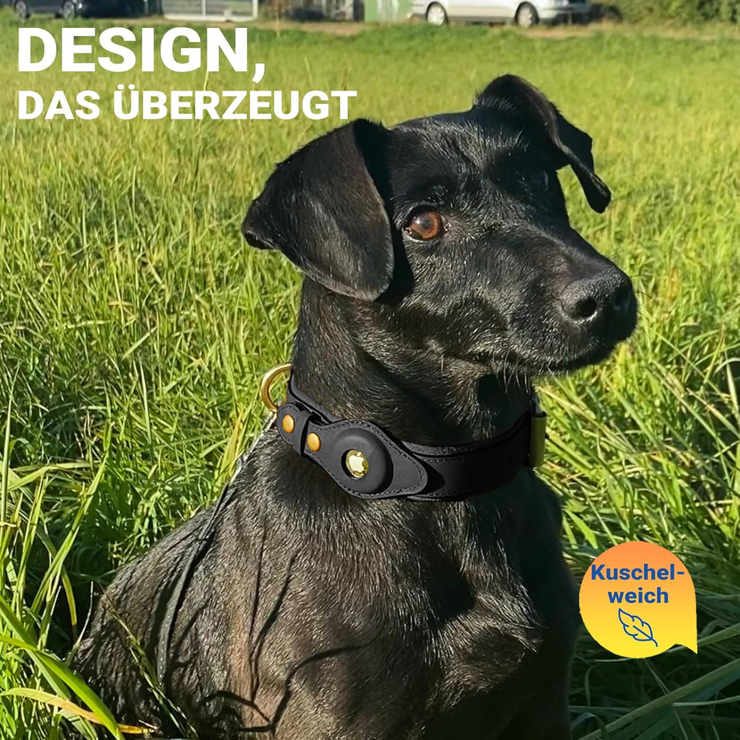 PawTrace Airtag Hundehalsband Leder. Stabiles Halsband aus Echtleder kompatibel mit Apple AirTag. Ko
