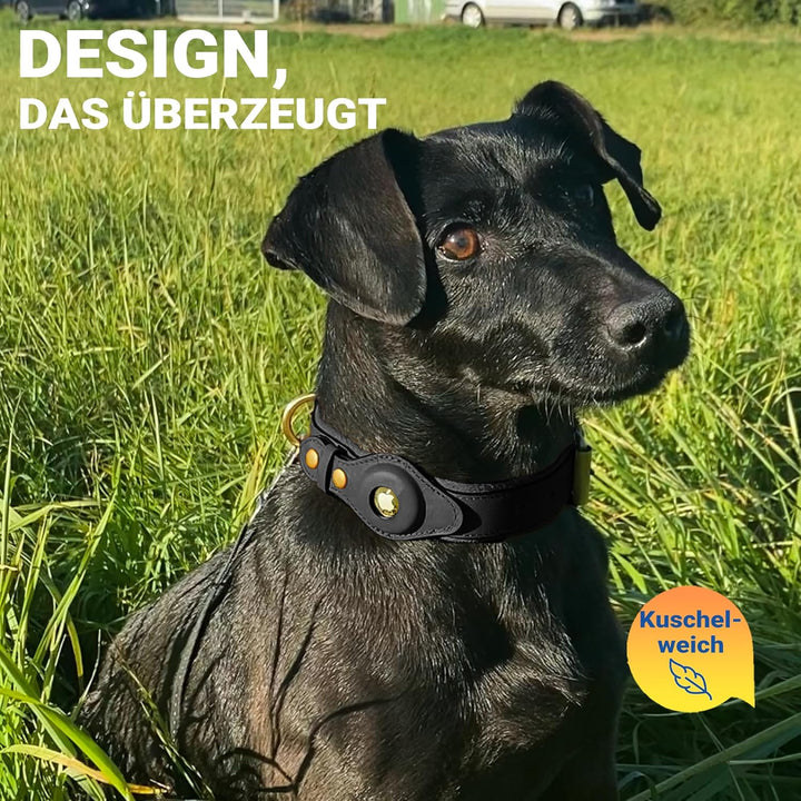 PawTrace Airtag Hundehalsband Leder. Stabiles Halsband aus Echtleder kompatibel mit Apple AirTag. Ko