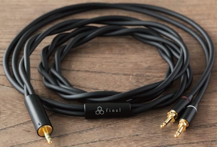 Final Audio D8000 Planar Magnetic Kopfhörer, FI-D8PAL, 0.99 x 0.99 x 0.99 cm