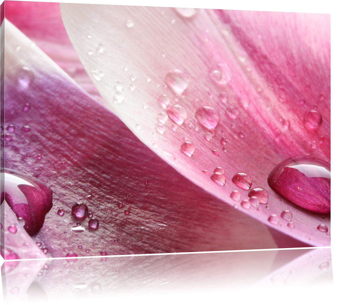 Pixxprint Tulpenblätter als Leinwandbild/Grösse: 100x70 cm/Wandbild/Kunstdruck/fertig bespannt, 100x